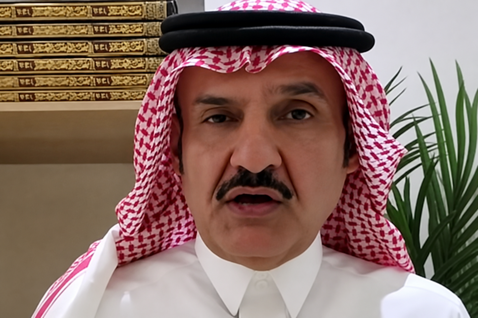 Saudi Arabia and Germany share vision for economic, tech cooperation: analyst