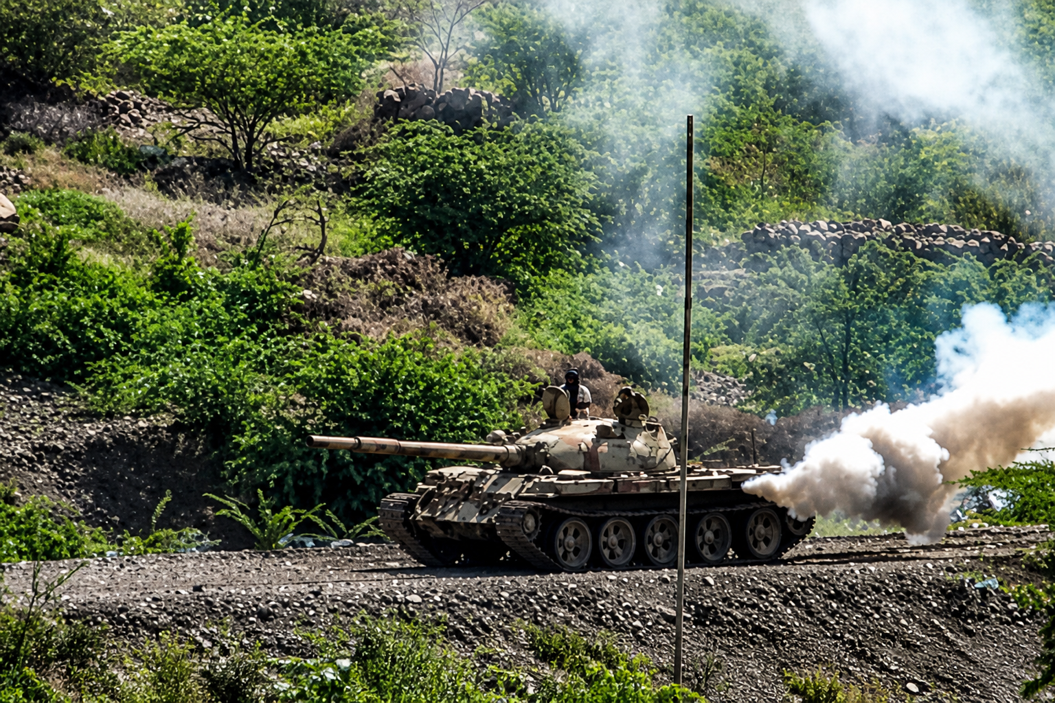 Houthi militia targets mosques, schools and civilians without distinction, researcher says