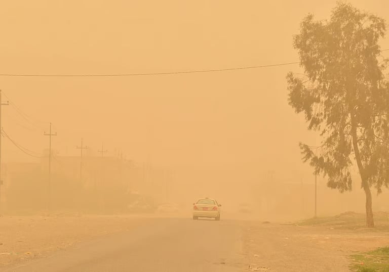 مركز العواصف: تسجيل 28 ساعة من الحالات الغبارية بدول الإقليم