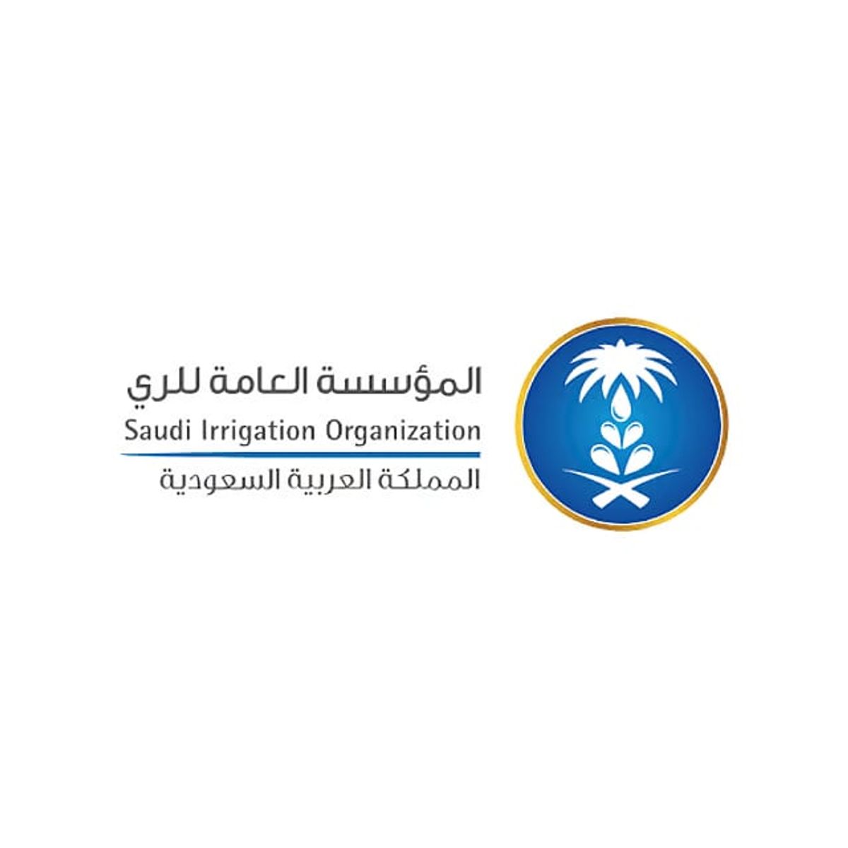 المؤسسة العامة للري تعلن عن مزاد علني لبيع ثمار تمور بمزرعة الأفلاج