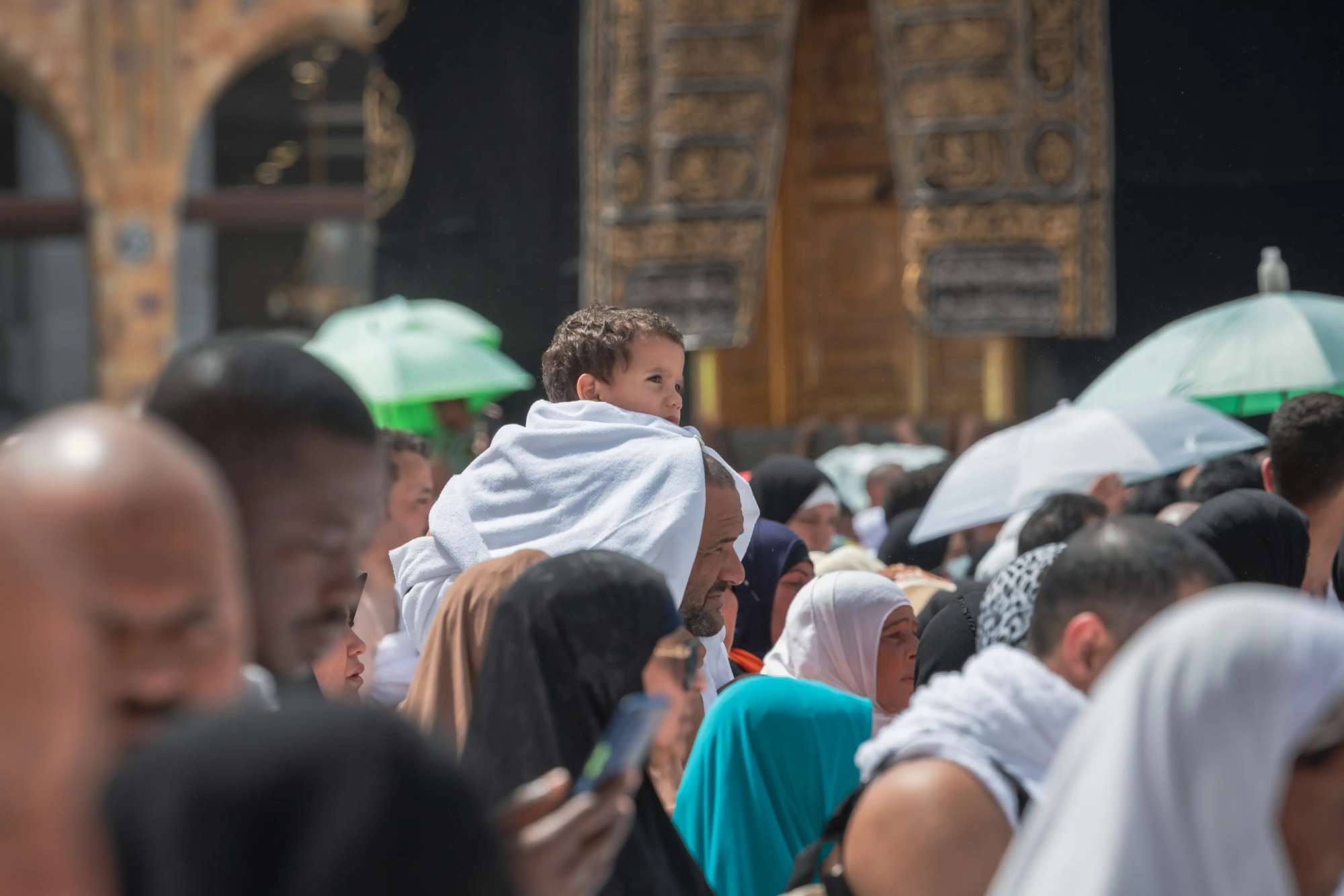 إطلاق خدمة إلكترونية لمتابعة كثافة المطاف والمسعى في المسجد الحرام لحظيًا