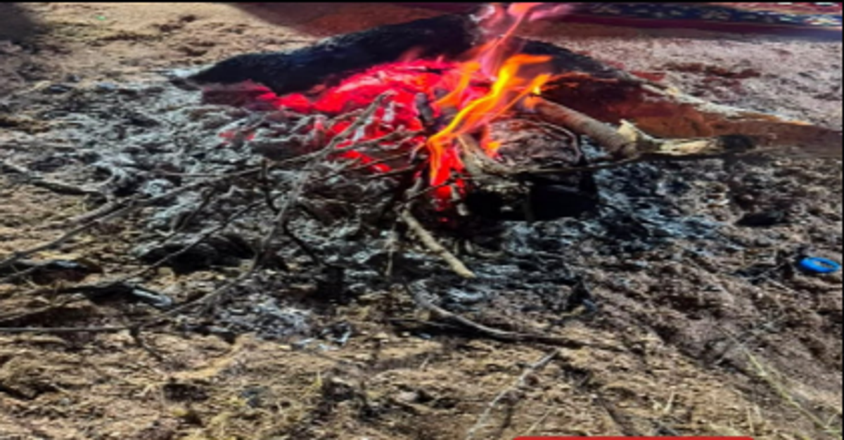 আসিরে নির্ধারিত স্থানের বাইরে আগুন জ্বালানোয় এক ব্যক্তি আটক