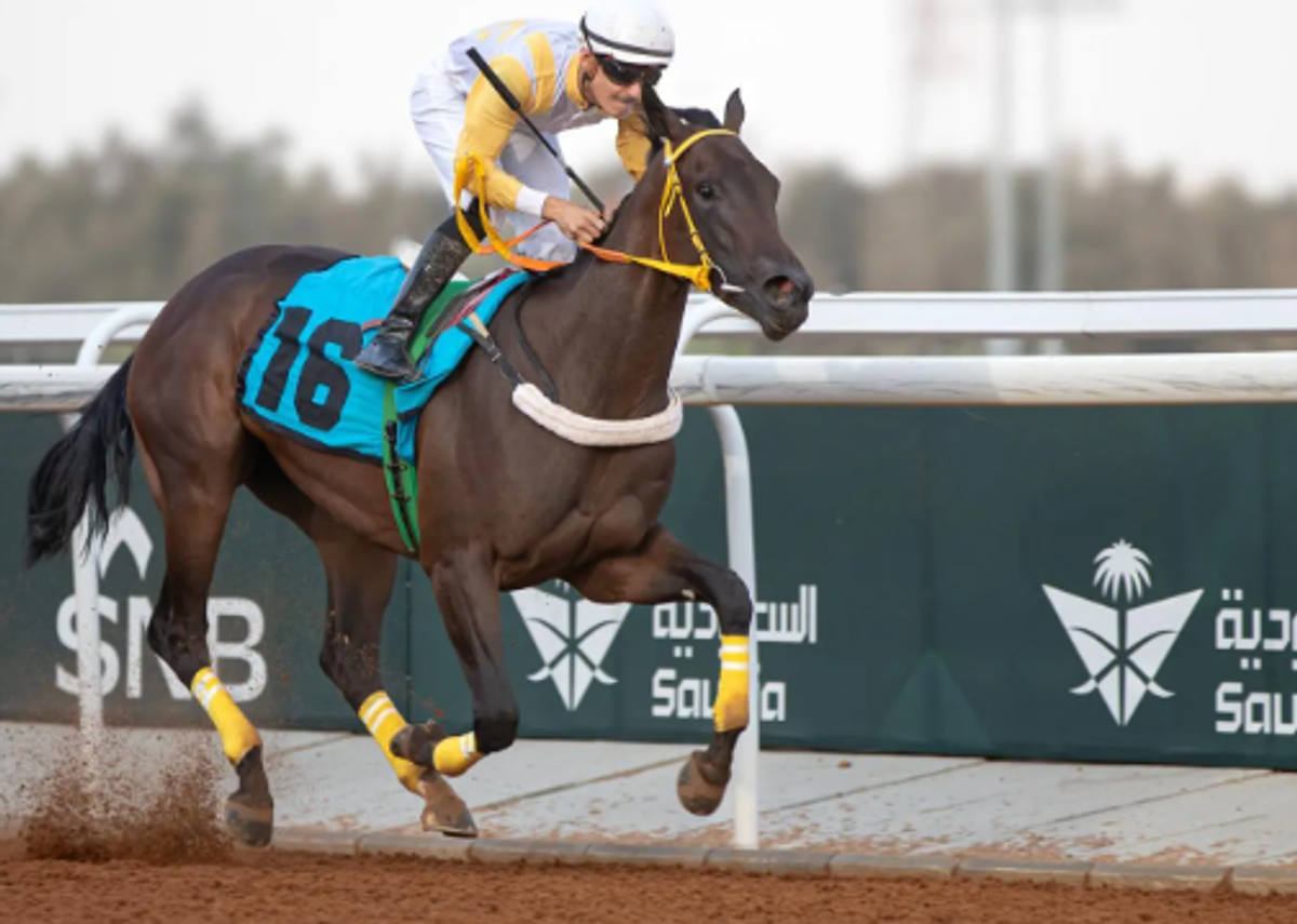 مركز وقاء يدعو ملاك الخيل لاستخراج إذن تنقل لموسم سباقات الطائف 2026