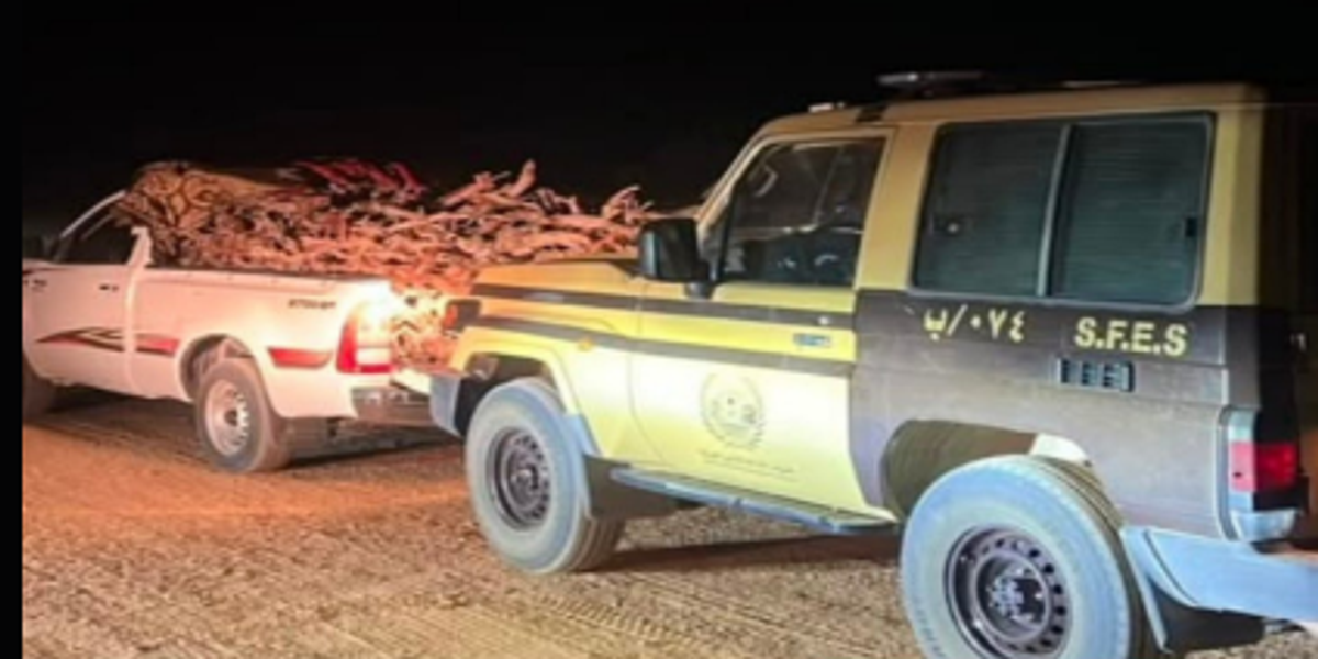 Saudi environmental forces seize firewood in nature reserve