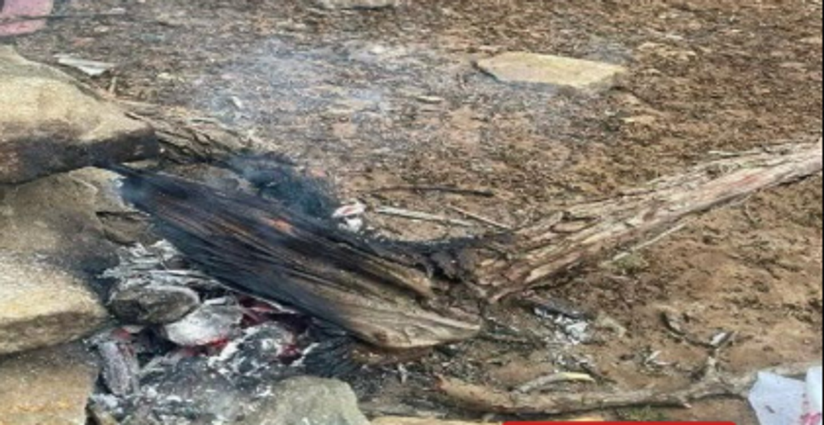 ماحولیاتی سکیورٹی فورس نے امام فیصل بن ترکی ریزرو میں آگ لگانے والا شہری گرفتار کر لیا