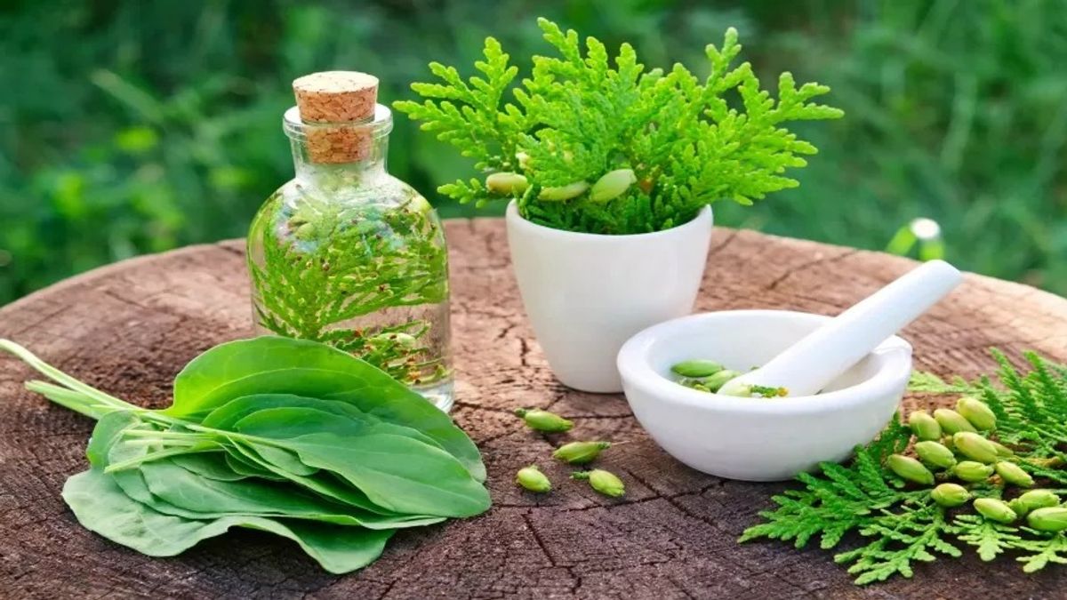 La SFDA appelle à signaler les effets indésirables des produits à base de plantes