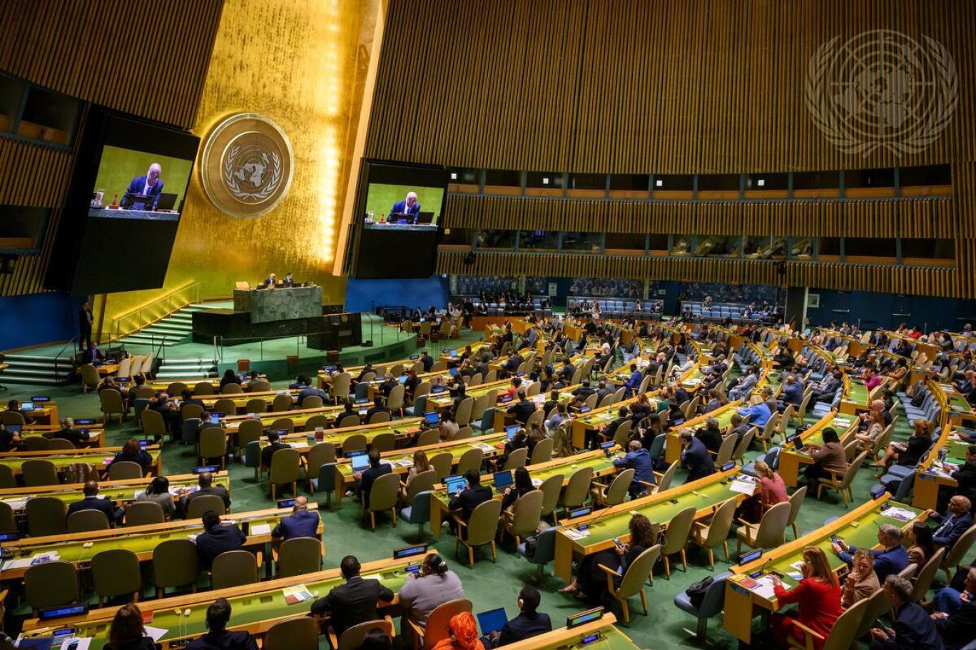Seven candidates vie to succeed Guterres as UN secretary-general