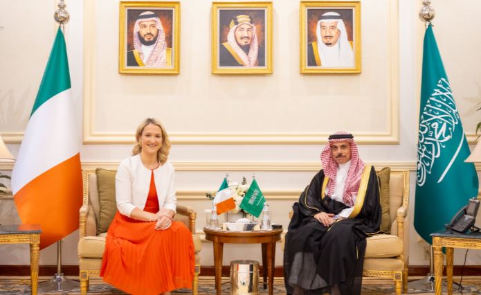 وزير الخارجية ونظيرته الأيرلندية يبحثان تعزيز الشراكة ومستجدات الأوضاع الإقليمية والدولية