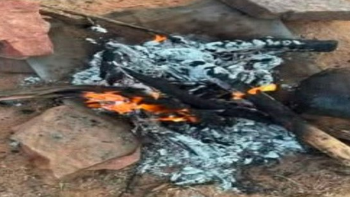 Saudi man arrested for lighting fire outside designated area in Imam Faisal bin Turki Reserve