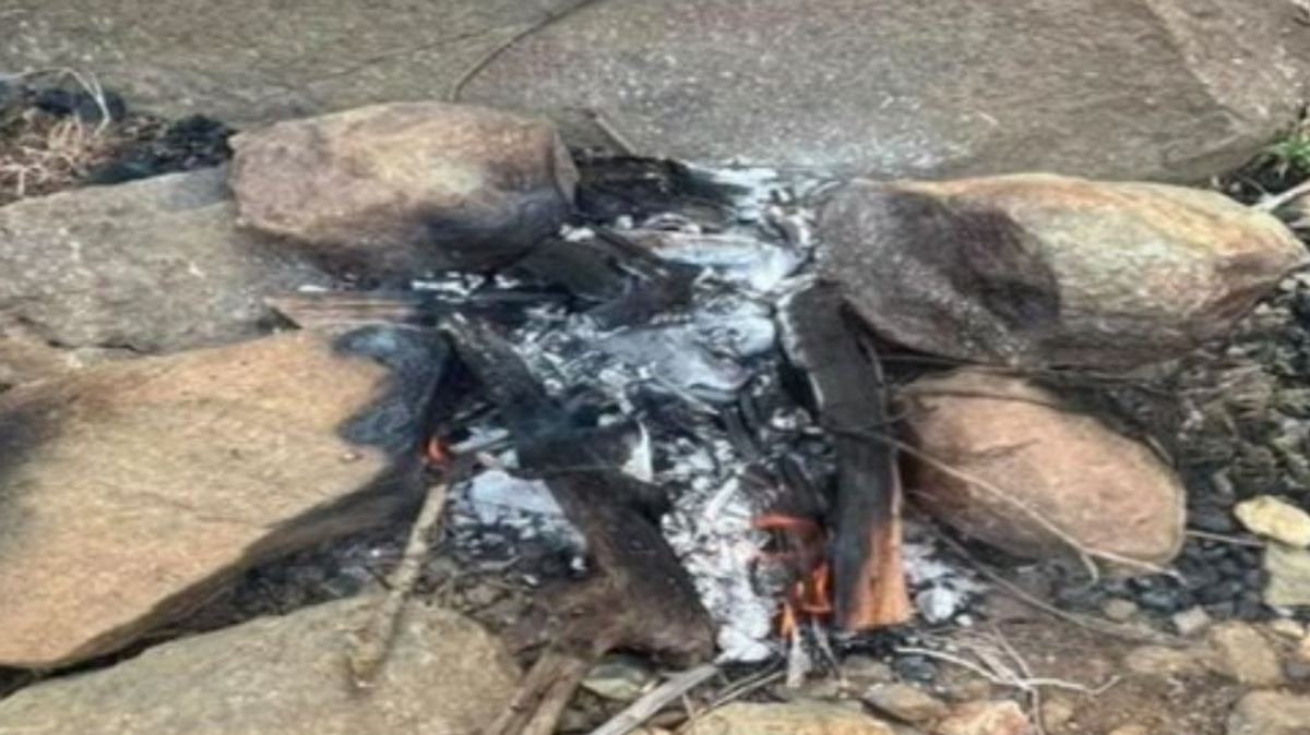 इमाम फैसल बिन तुर्की अभयारण्य में गलत जगह आग जलाने पर व्यक्ति गिरफ्तार