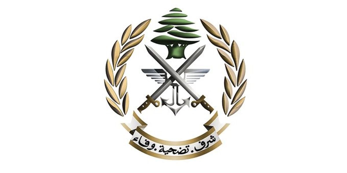 Three Lebanese soldiers injured while defusing unexploded ordnance in southern town