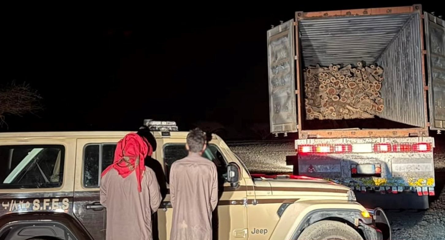 ضبط مواطنين مخالفين لنقلهما حطبًا محليًا في منطقة المدينة المنورة