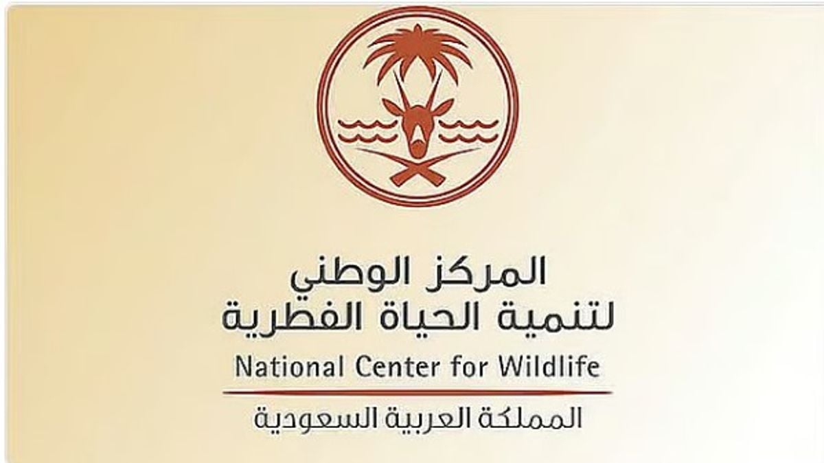 «الحياة الفطرية» يوثّق أكبر تجمع لطيور الغاق الكبير في محمية الجبيل