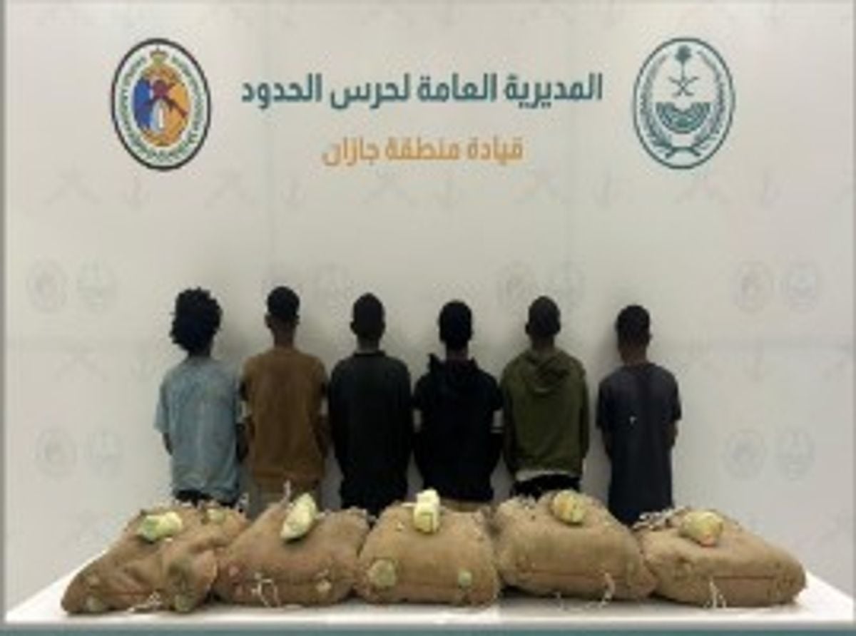 Saisie de khat par les gardes-frontières à Jazan