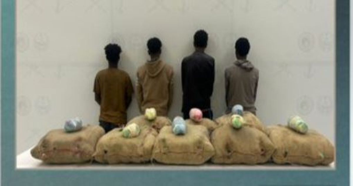 Quatre Éthiopiens arrêtés pour trafic de khat à Jazan