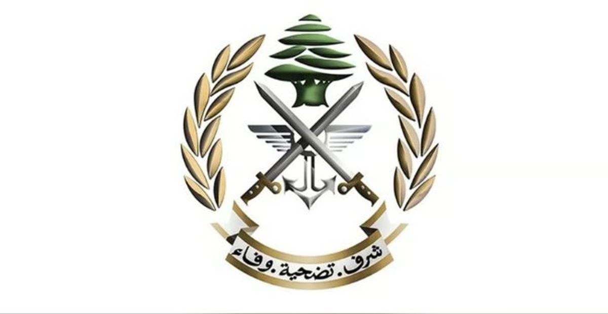 Lebanese army detains 10 citizens, Palestinian, 131 Syrians in raids