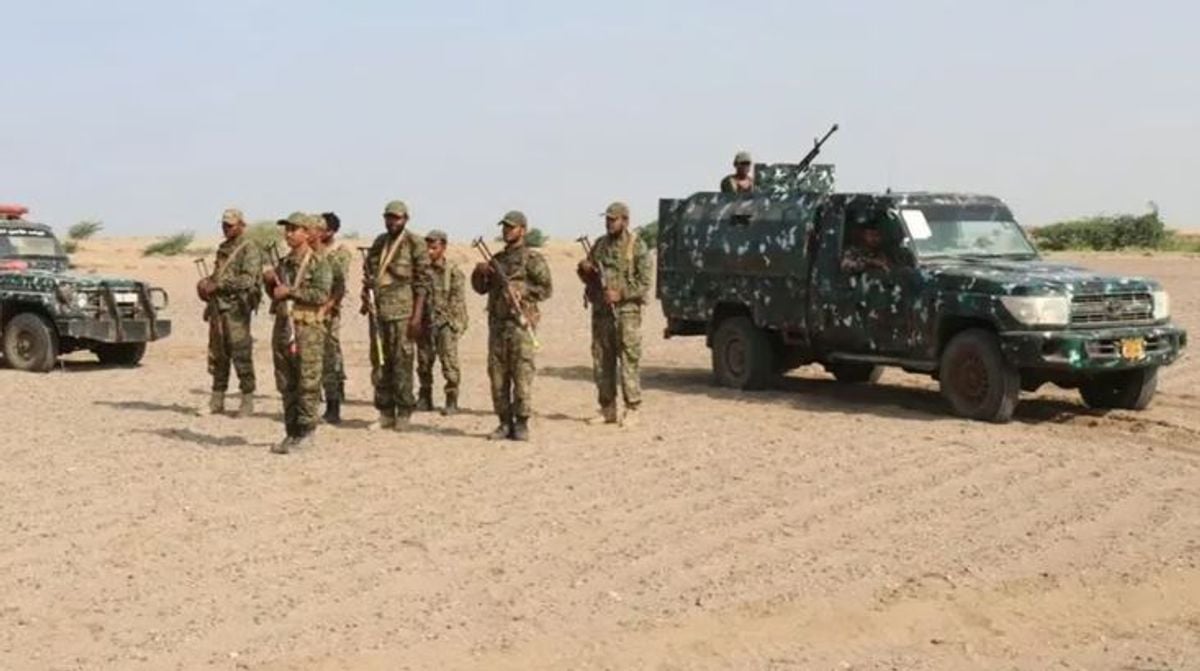 Yemeni army launches new drone brigade, targets Houthi positions in Marib