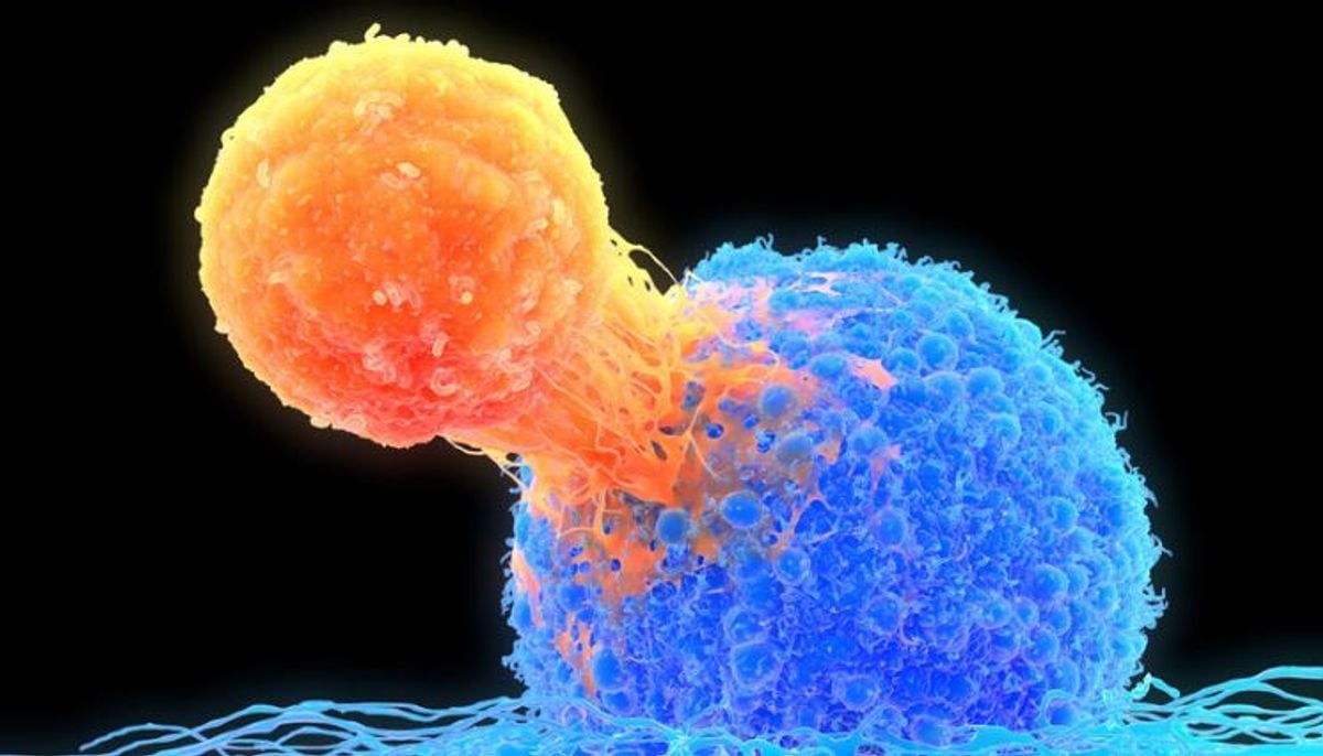 Common dietary sugar linked to cancer recurrence after chemotherapy, study finds
