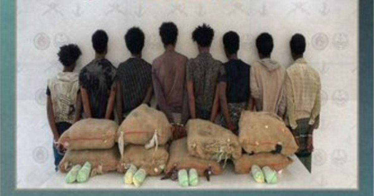 عسیر: سرحدی فورس نے 8 ایتھوپیائی باشندے 160 کلوگرام قات سمیت گرفتار کر لیے