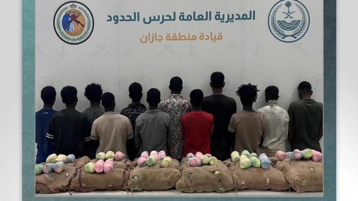 جازان: بارڈر سیکیورٹی نے 12 افراد سے 240 کلوگرام قات برآمد کرلیا