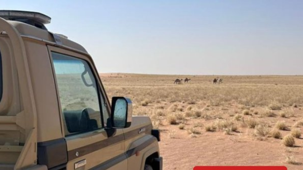 Saudi citizen detained for illegal grazing in King Abdulaziz Royal Reserve