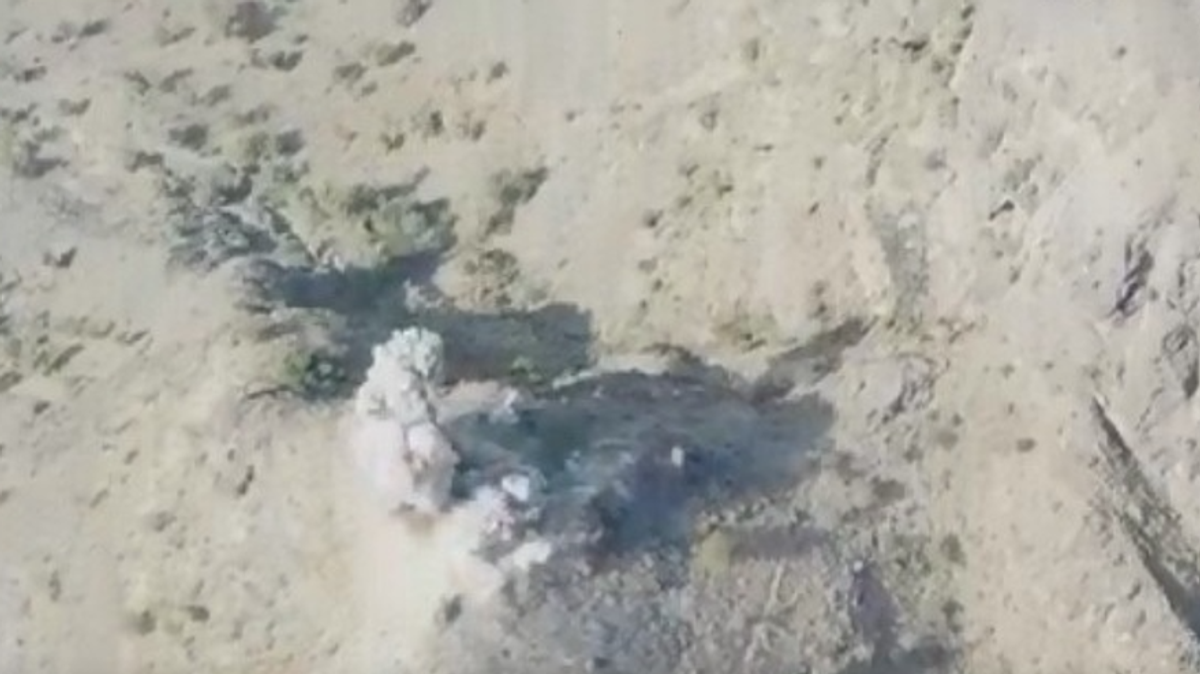 Yemeni government forces target Houthi positions in Taiz and Marib