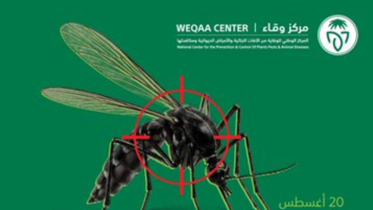 Le centre Weqaa alerte sur les dangers du moustique et appelle à la vigilance