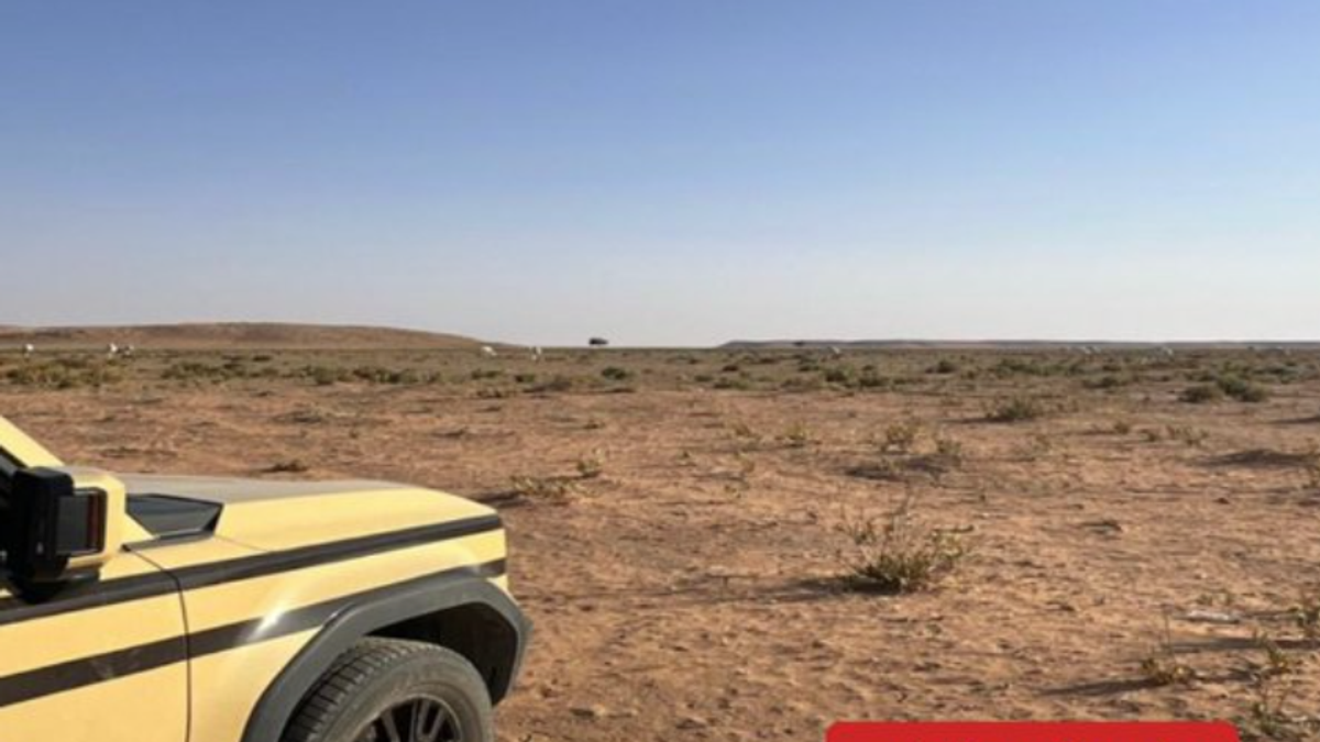 Saudi authorities detain citizen for illegal grazing in King Abdulaziz Royal Reserve