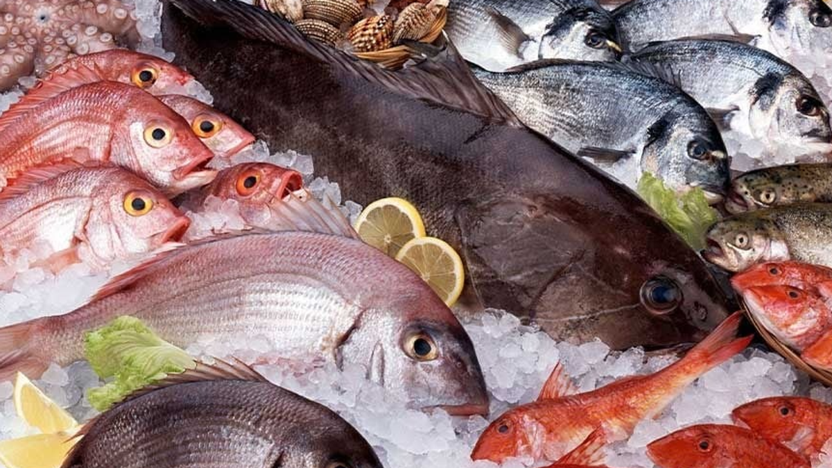 Experts highlight four healthiest fish for nutrition and weight loss