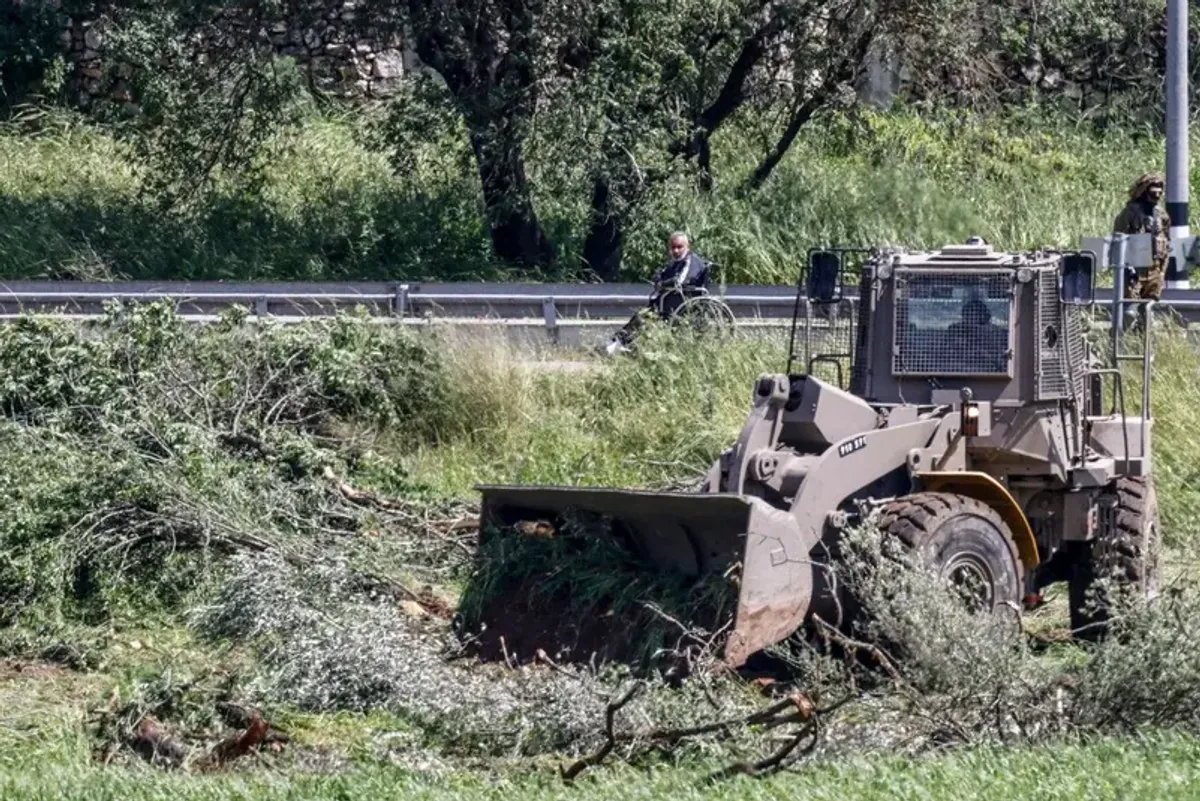 Israeli forces uproot over 400 olive trees in Beit Rima near Ramallah