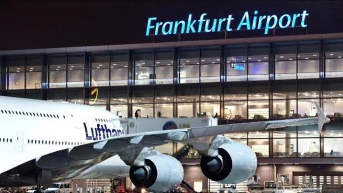 Frankfurt health authorities warn of mosquitoes after two malaria cases near airport
