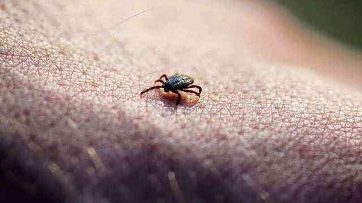 Chinese scientists identify new tick-borne virus causing flu-like symptoms