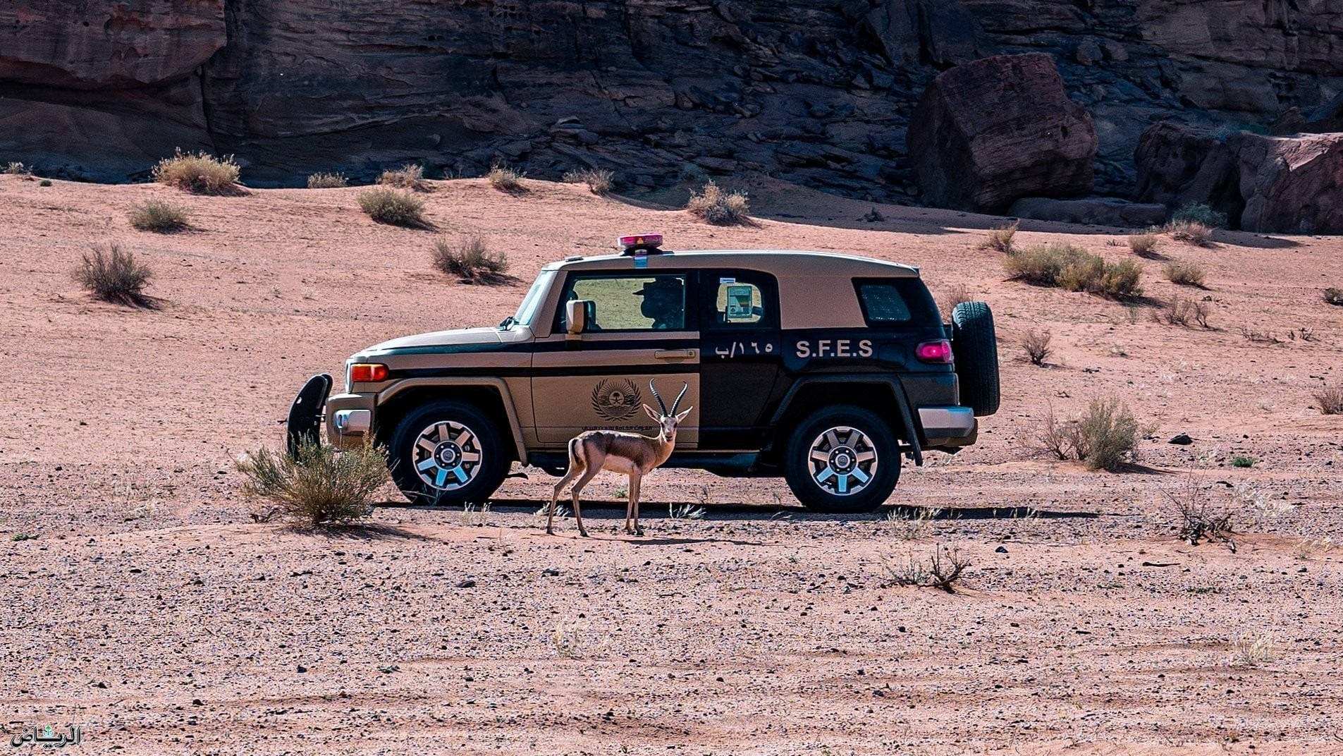 Environmental Security warns of SAR 5,000 fine for hunting in restricted areas