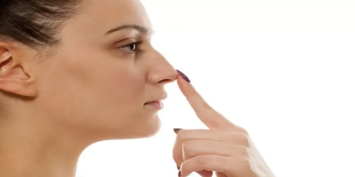 Why we can't see our own nose: new study explains phenomenon