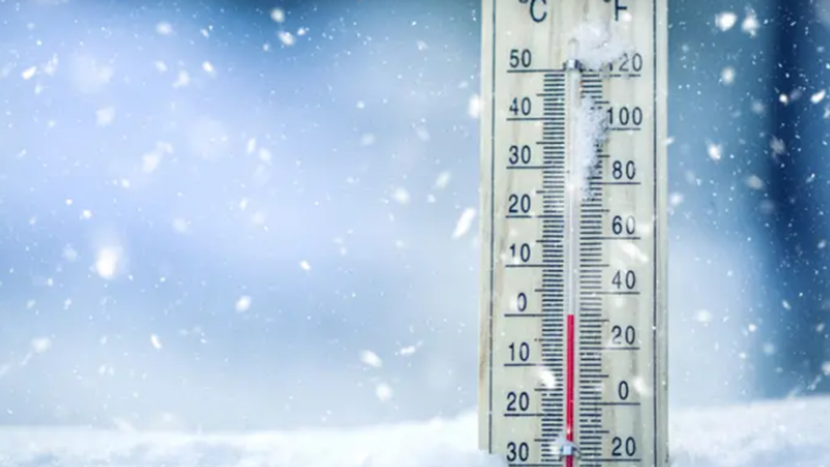 Brain region linked to increased hunger in cold weather, study finds
