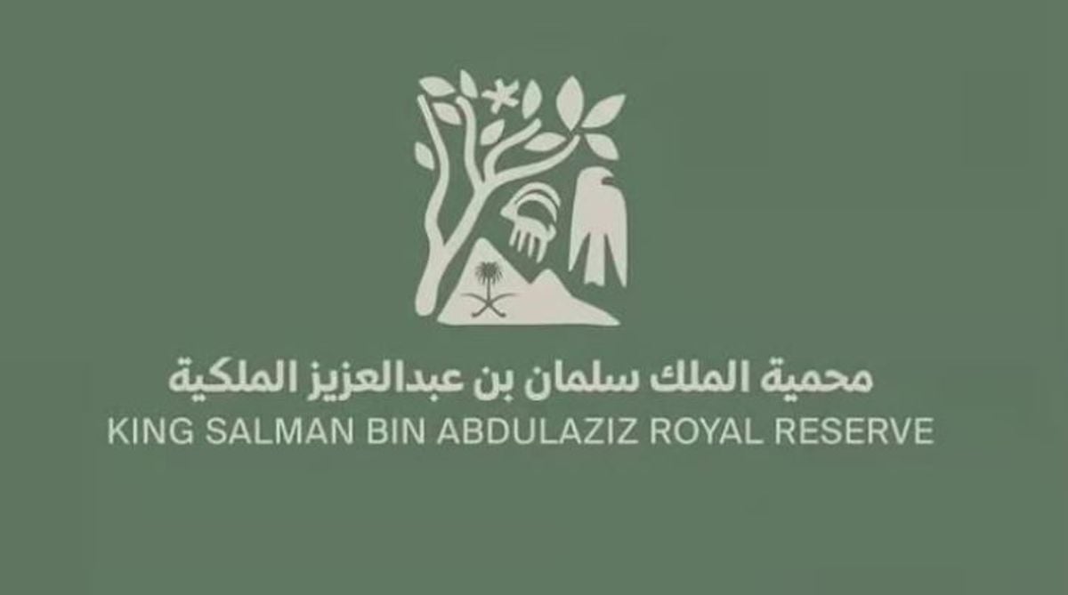 King Salman Royal Reserve achieves major success in vulture restoration