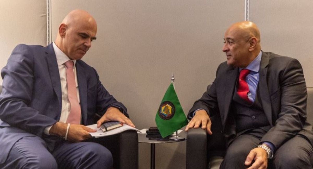 GCC chief discusses cooperation with Council of Europe secretary-general