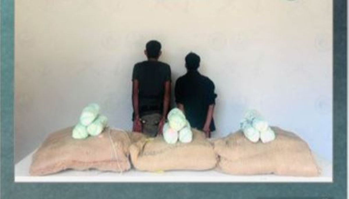 القبض على مخالفين من الجنسية اليمنية لتهريبهما القات بجازان