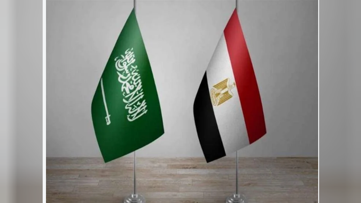 Saudi-Egypt trade exceeds $82 billion over five years