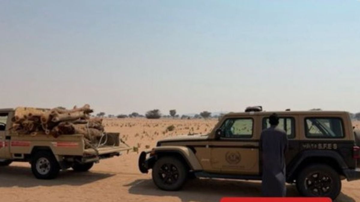مدینہ منورہ میں لکڑی ضبطی کی کارروائی