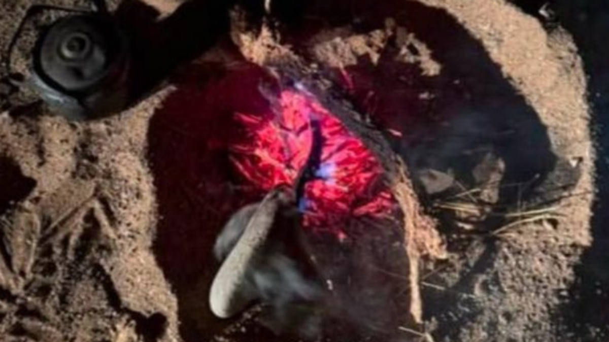 Un citoyen interpellé pour avoir allumé un feu hors zone autorisée dans la réserve royale Mohammed ben Salmane