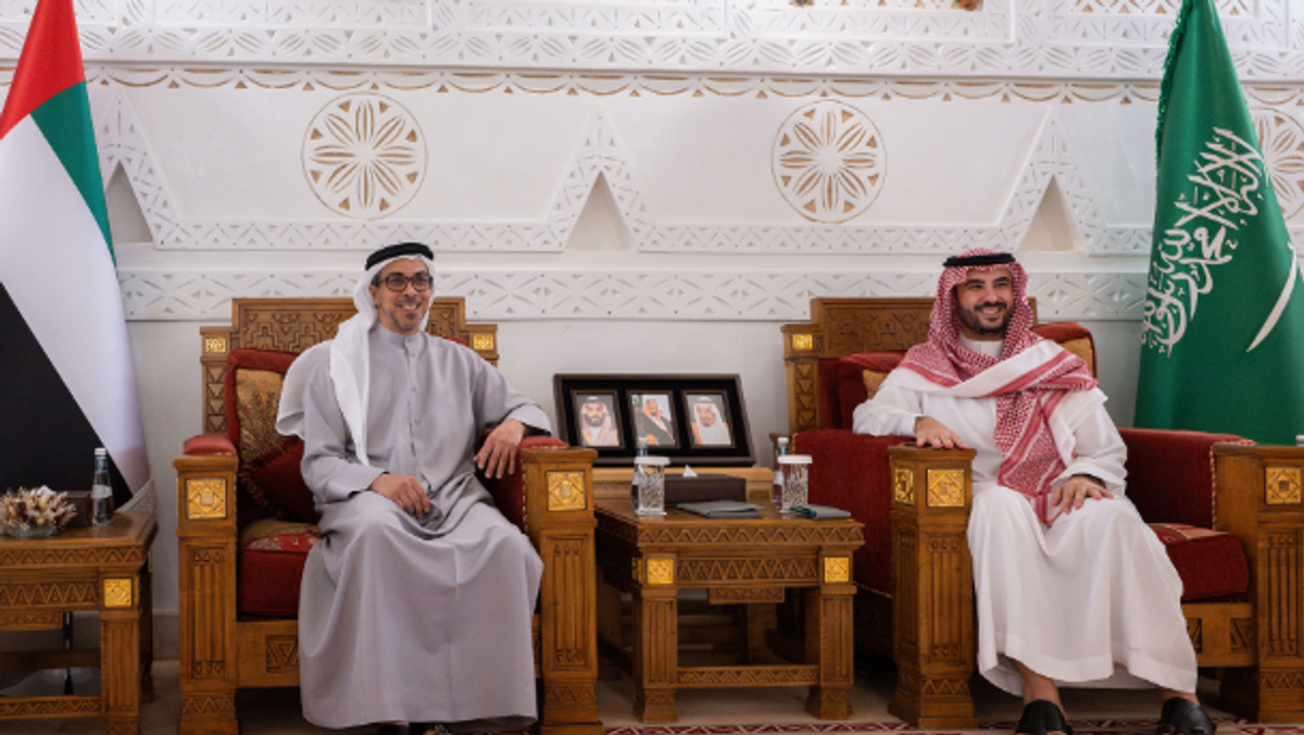 خالد بن سلمان اور اماراتی نائب صدر کی ریاض میں ملاقات