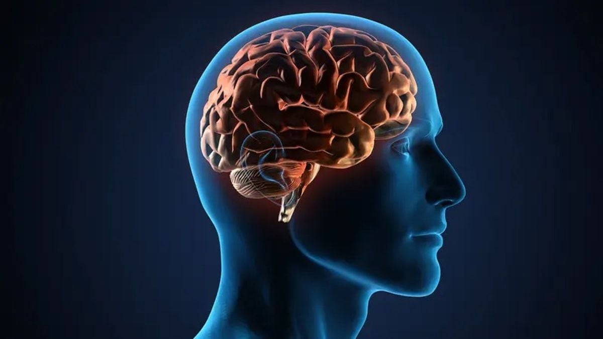 Simple exercises or naps may protect memory after sleep loss, study finds