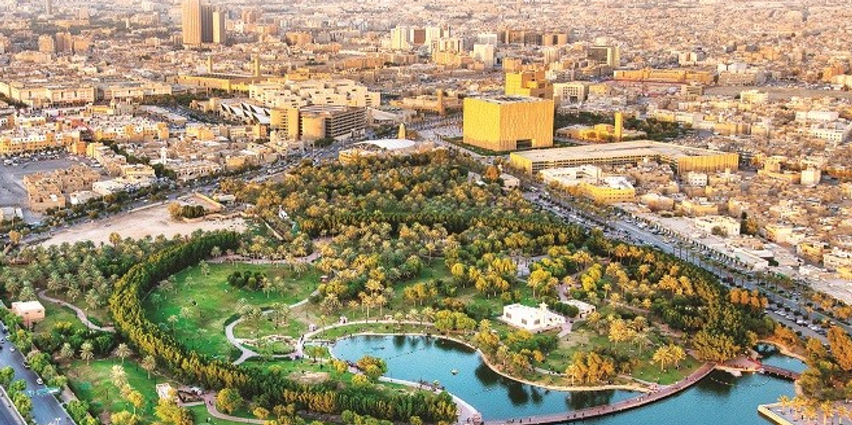 برنامج «الرياض الخضراء» يطلق حملة تشجير وتنظيف شعيب أم قصر