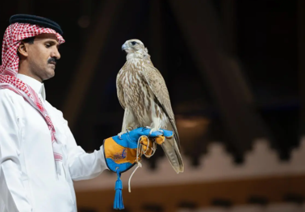 Two falcons sold for SAR 350,000 at Mongolian Falcons Auction in Riyadh