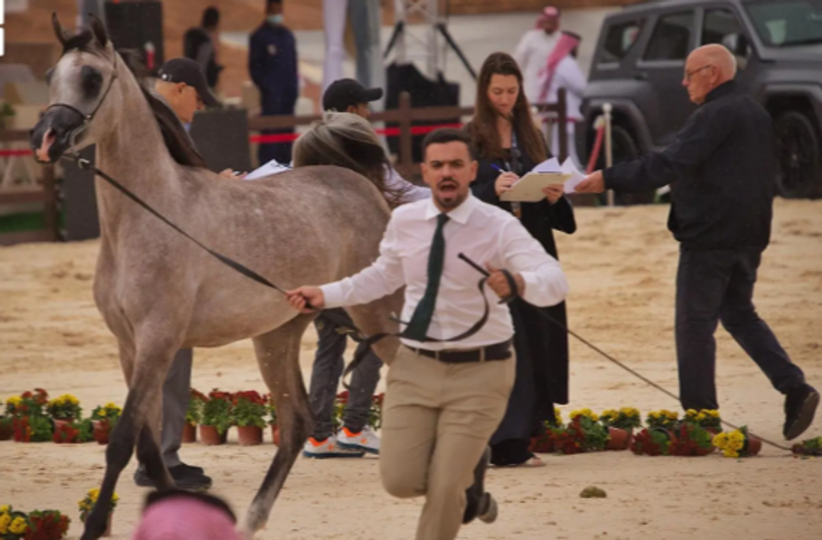 Hail governor attends closing ceremony of International Arabian Horse Championship