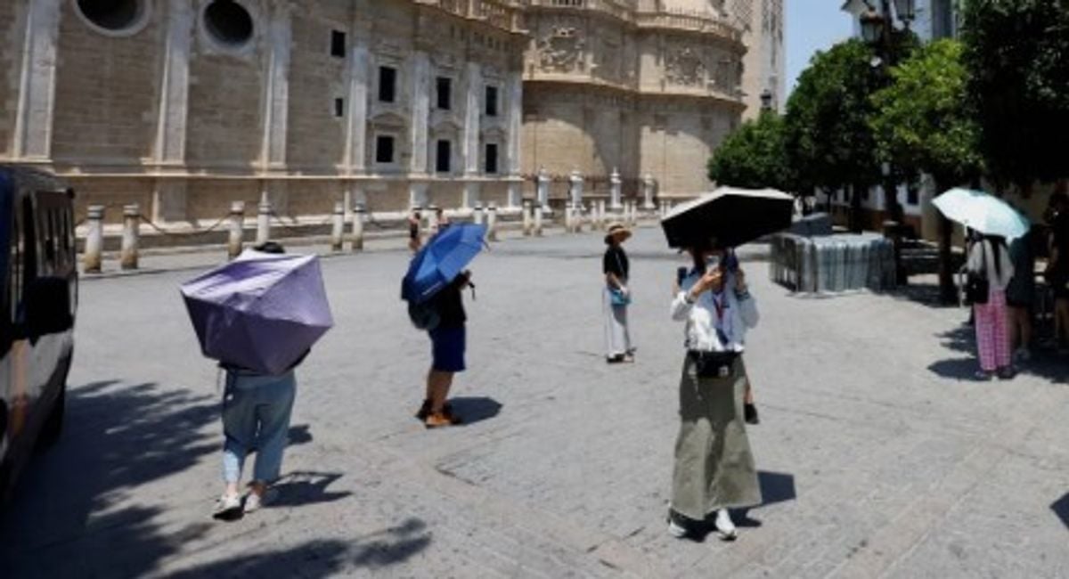 Europe's summer heatwaves cause 50,000 deaths and €17bn in losses