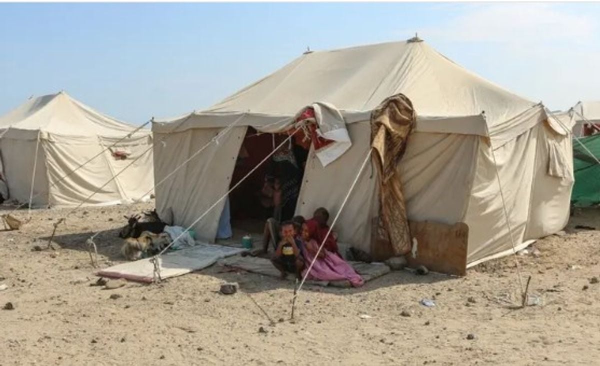 Over 200,000 displaced in Yemen amid renewed fighting: IOM