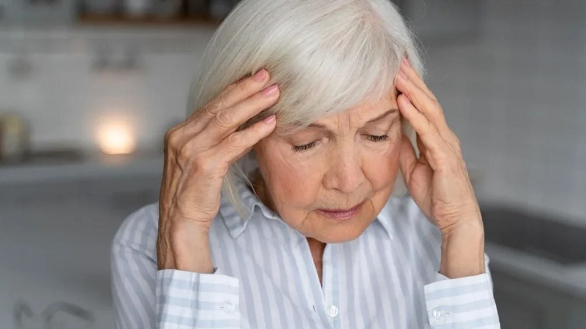 Alzheimer’s-linked brain changes found in monkeys without memory loss