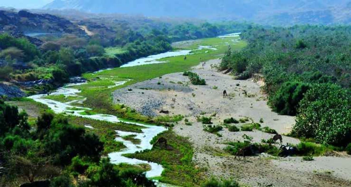 Wadi Hali showcases natural beauty and ecological diversity in Al-Qunfudhah